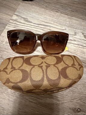 Coach Brown Gradient Cat-Eye Sunglasses